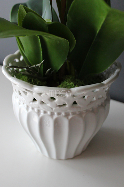 Palomina kremowy storczyk w ażurowej donicy, wys.50cm