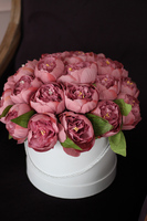 Rullena, elegancki bukiet / flowerbox / kompozycja z peonii, wys.30cm