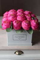 Rosalia, kwadratowy flowerbox z pełnikami, wys. 24cm