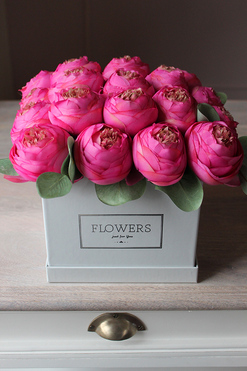 Rosalia, kwadratowy flowerbox z pełnikami, wys. 24cm