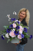 kompozycja nagrobna Niebieskie Gerbery, wys.56cm 