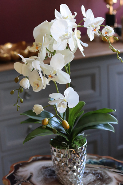 Filano Silver, sztuczny storczyk w srebrnej donicy, wys.60cm