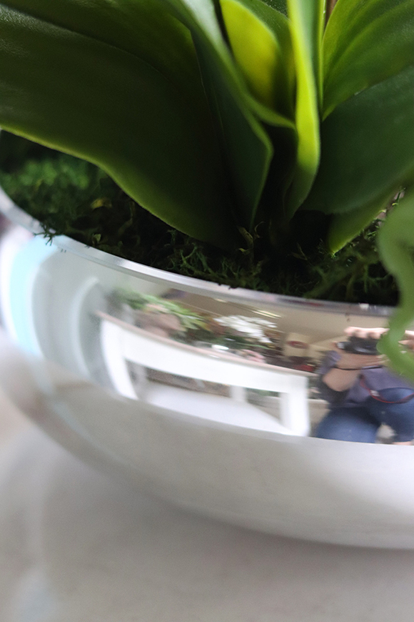 Glass Silver Mirroso, efektowny storczyk w srebrnej misie, wys.61cm 