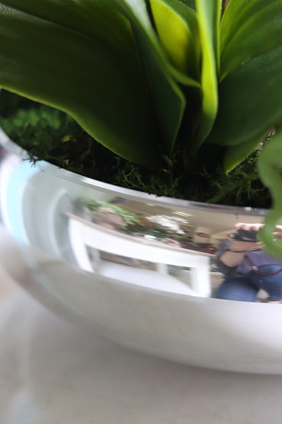 Glass Silver Mirroso, efektowny storczyk w srebrnej misie, wys.61cm 