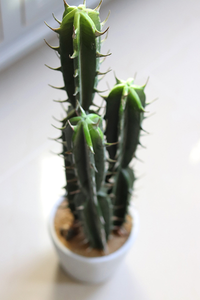 Kaktus Pustynia, sztuczna roślina, wys.62cm