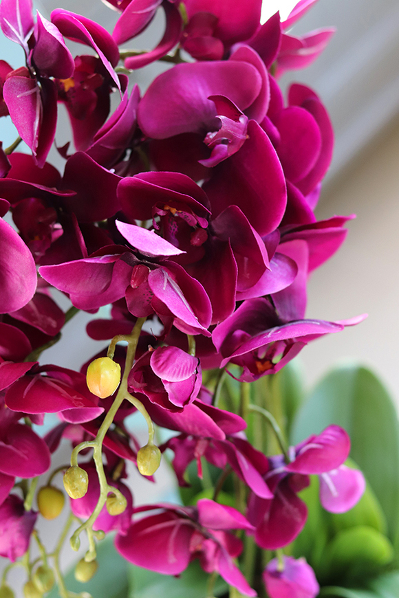 Biskupi, fioletowy storczyk w donicy glamour, wys.58cm