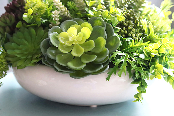 Encarna Gerrano, kompozycja sukulenty w białej misie, wym.25x35cm