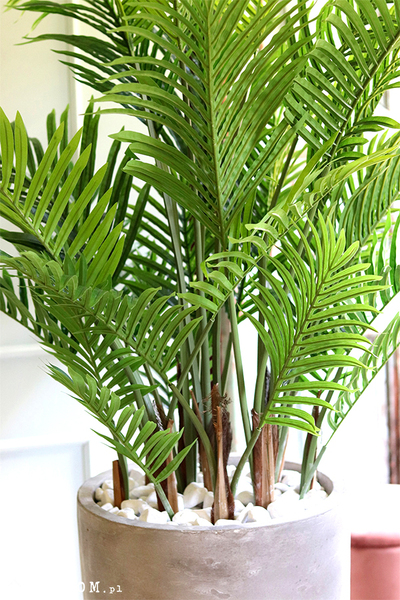 Areca Concrete, wysokiej jakości sztuczna palma w betonowej donicy, wys.190cm
