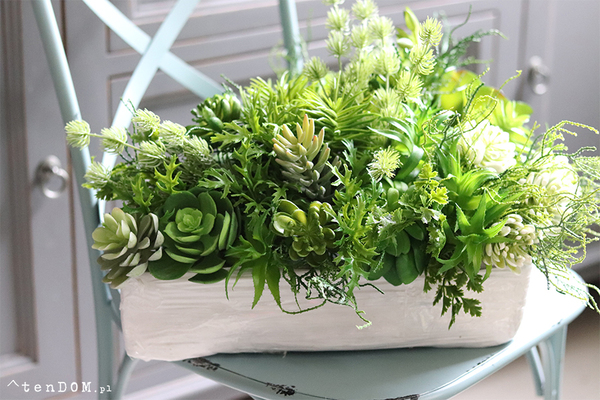 Triangle, kompozycja sukulenty w kształcie trójkąta, wym.26x35x50cm