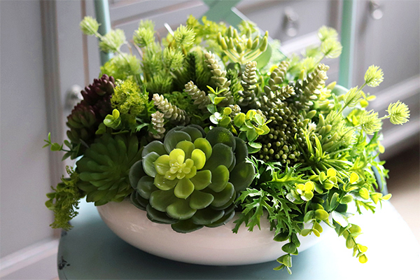 Encarna Gerrano, kompozycja sukulenty w białej misie, wym.25x35cm