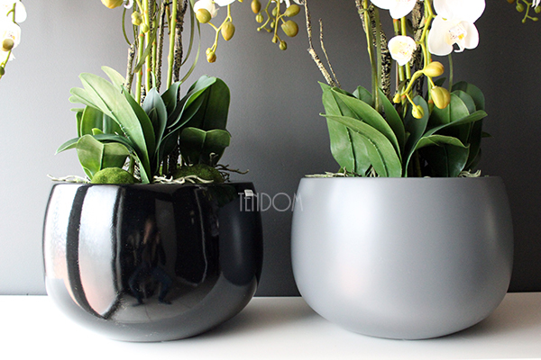 efektowny storczyk Fiberglass Grande Black Shine w czarnej donicy, wys.85cm 