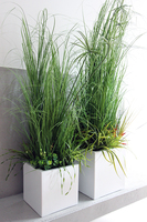 kompozycja Trawy IV Minimalism w białej donicy, wys.110cm