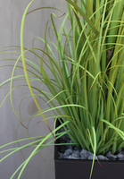 Primadonna, sztuczna trawa w grafitowej donicy, wys.185cm