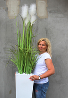 Delano, kompozycja w białej donicy z trawami, wym.196cm