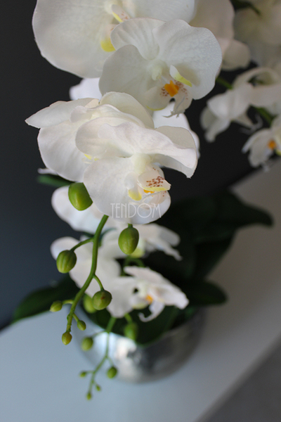 Srebrny Apartament najmniejszy storczyk w eleganckim metalowym naczyniu wys.ok.70cm