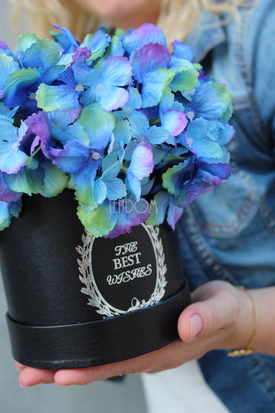 kompozycja kwiatowa / bukiet flowerbox, Hortense Blue 2, wys.28cm