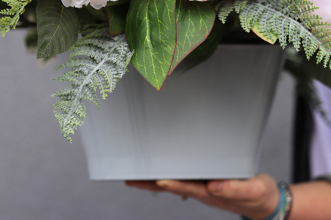 kompozycja nagrobna Niebieskie Gerbery, wys.56cm 