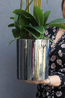 Naomi, elegancki storczyk glamour w lustrzanym naczyniu, wys.78cm