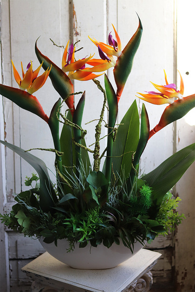 Big Laos Sukulenty & Strelicja Short, egzotyczna kompozycja w białej donicy, wys.82cm