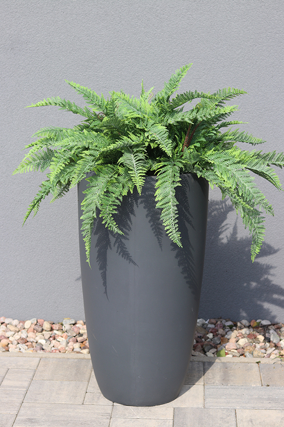 kompozycja w betonowej donicy, Paproć Ecolite Grande, wys.108cm