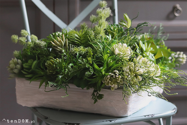 Triangle, kompozycja sukulenty w kształcie trójkąta, wym.26x35x50cm