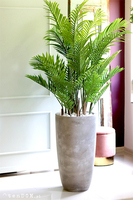 Areca Concrete, wysokiej jakości sztuczna palma w betonowej donicy, wys.190cm