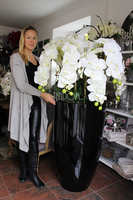 ogromny storczyk Design Black Grande w donicy, wys.174cm