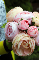 bukiet jasnoróżowych i kremowych jaskrów wys.24cm