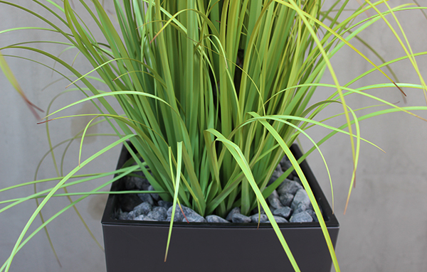 Primadonna, sztuczna trawa w grafitowej donicy, wys.185cm