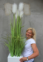 Delano, kompozycja w białej donicy z trawami, wym.196cm