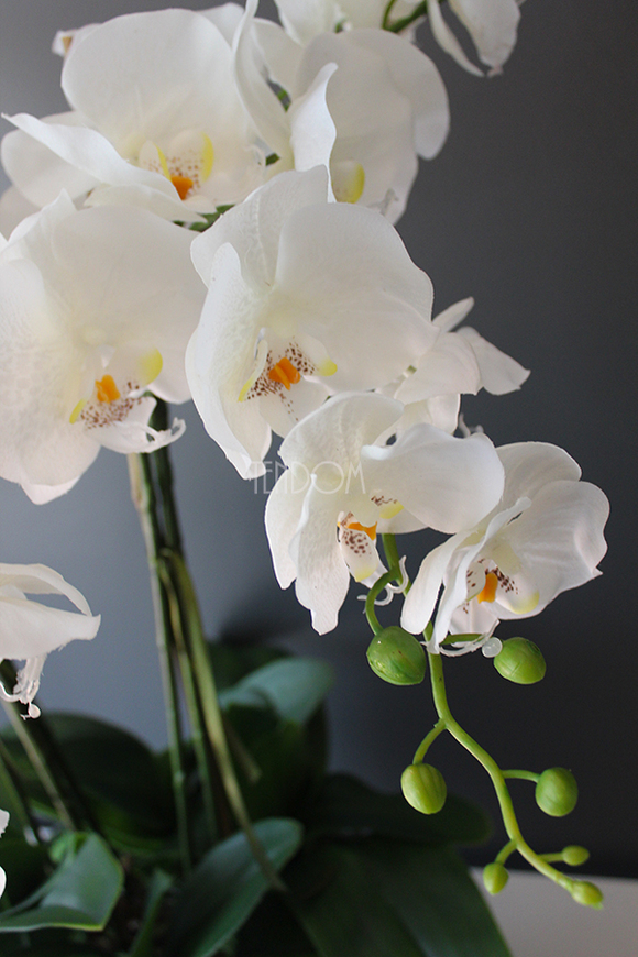 Srebrny Apartament najmniejszy storczyk w eleganckim metalowym naczyniu wys.ok.70cm