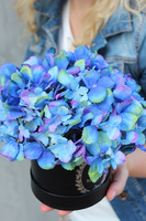 kompozycja kwiatowa / bukiet flowerbox, Hortense Blue 2, wys.28cm