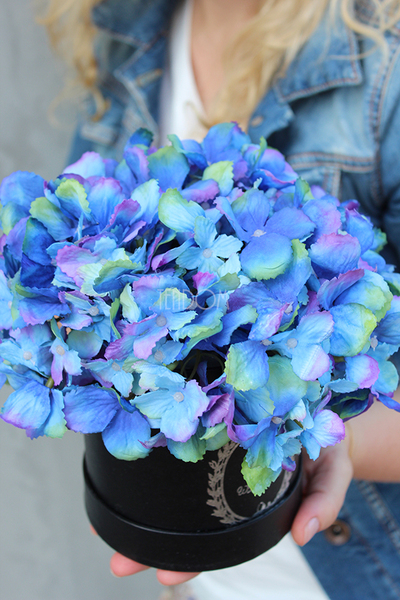 kompozycja kwiatowa / bukiet flowerbox, Hortense Blue 2, wys.28cm