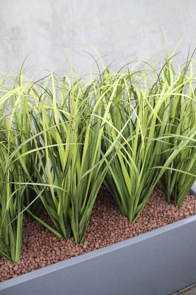 dekoracja Trawy Fiberglass Grande Grey w prostokątnej donicy, wys.110cm