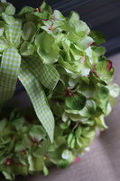 jasnozielona Hortensja wianek na drzwi, śr.25cm