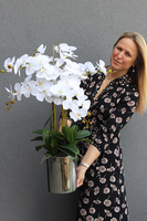 Naomi, elegancki storczyk glamour w lustrzanym naczyniu, wys.78cm