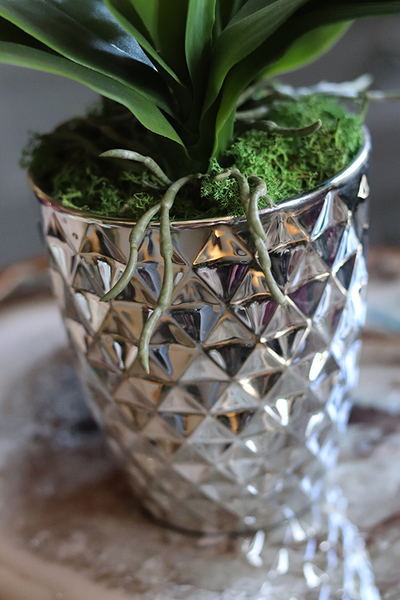 Filano Silver, sztuczny storczyk w srebrnej donicy, wys.60cm