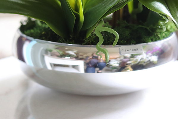 Glass Silver Mirroso, efektowny storczyk w srebrnej misie, wys.61cm 