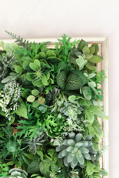 atrakcyjna jednostronna rama Sorella Sukulenty, wym.74x54cm