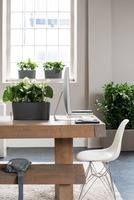 Delta 20, podłużna donica z nawadnianiem, antracyt, wym.18x40x15cm