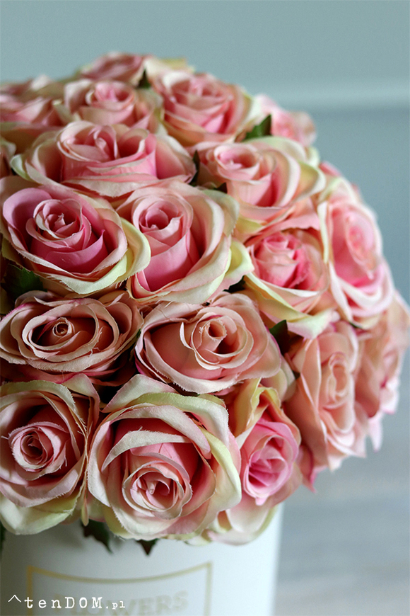 bogaty flowerbox z różami, Sorella Montana, wys.35cm