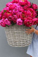 bogaty kosz z różowymi peoniami Loritta, wym.80x80cm