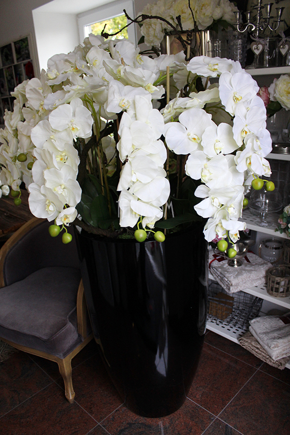 ogromny storczyk Design Black Grande w donicy, wys.174cm