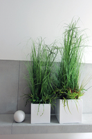 kompozycja Trawy IV Minimalism w białej donicy, wys.110cm