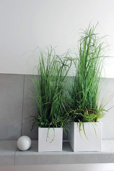 kompozycja Trawy IV Minimalism w białej donicy, wys.110cm