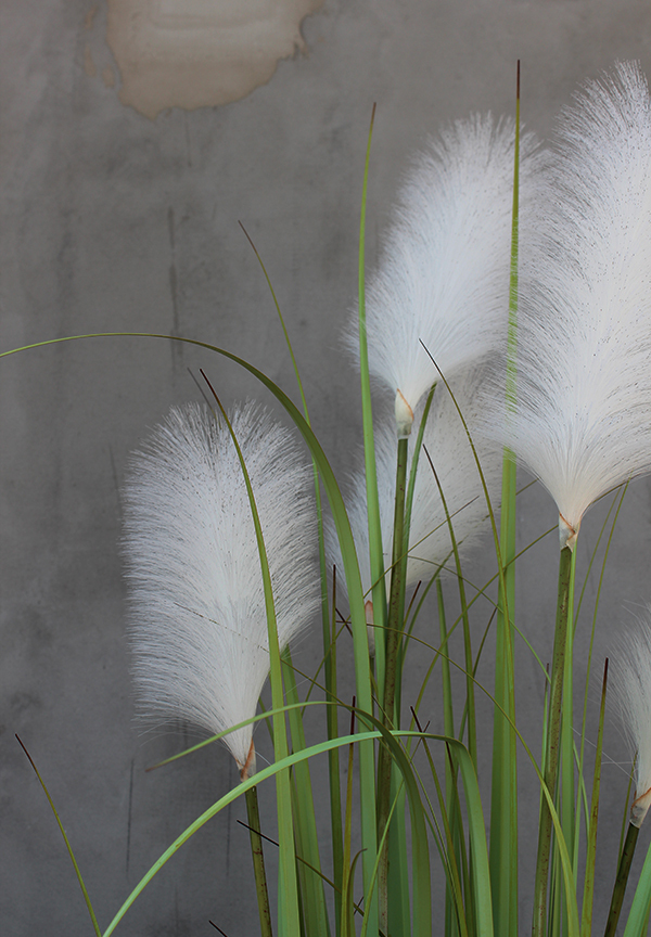 Primadonna, sztuczna trawa w grafitowej donicy, wys.185cm