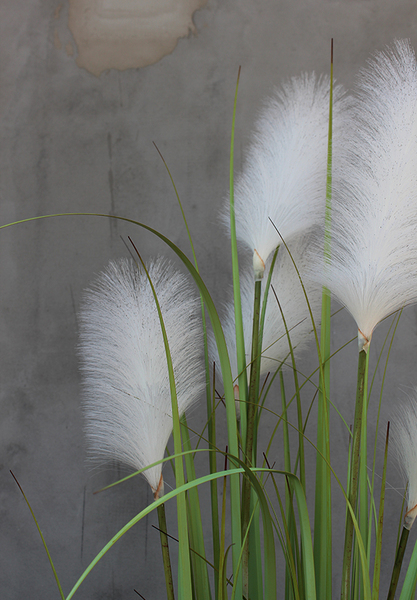 Primadonna, sztuczna trawa w grafitowej donicy, wys.185cm