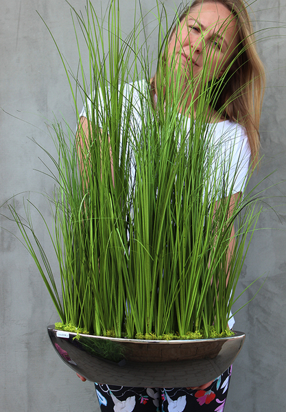dekoracja trawy, Grass Laos Silver, wys.80cm