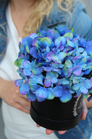 kompozycja kwiatowa / bukiet flowerbox, Hortense Blue 2, wys.28cm