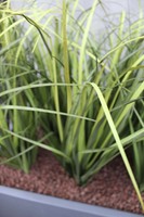 dekoracja Trawy Fiberglass Grande Grey w prostokątnej donicy, wys.110cm